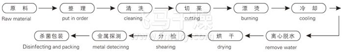 脫水蔬（shū）菜帶式幹燥（zào）工藝流程（chéng）